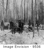 #9536 Picture Of Logging In A Forest
