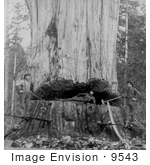 #9543 Picture Of Three Lumberjacks