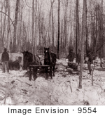 #9554 Picture Of Logging In A Forest