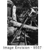 #9557 Picture Of A Saw Mill