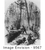 #9567 Picture Of Lumberjacks At Work