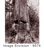 #9574 Picture of a Lumberjack Posing in Tree by JVPD
