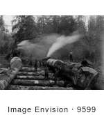 #9599 Picture Of Steam Logging