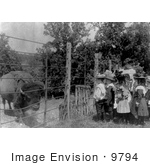 #9794 Picture Of Children Looking At A Caged Bison