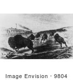 #9804 Picture Of Hunters Shooting Buffalo From A Train