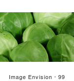 #99 Picture Of Fresh Brussels Sprouts
