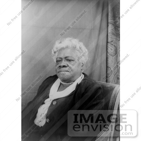 #10691 Picture of Mary Jane McLeod Bethune by JVPD