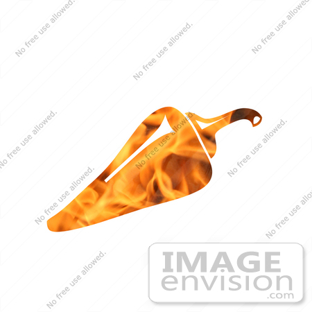 #10889 Picture of a Flaming Pepper by Jamie Voetsch