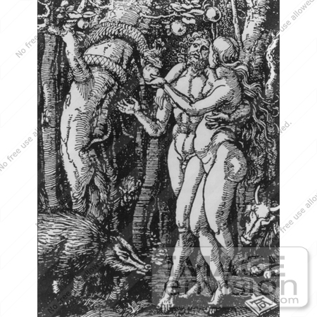 #11334 Picture of Adam, Eve, Snake, Bull and Pig in the Garden by JVPD