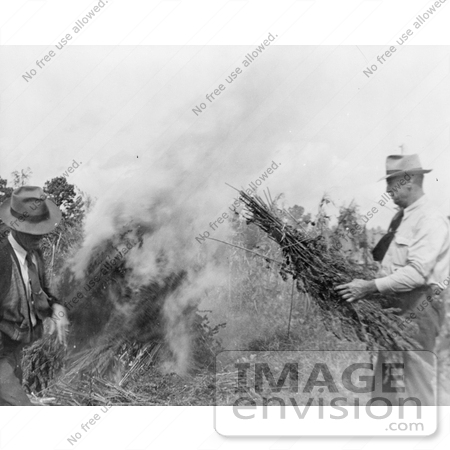 #11448 Picture of Burning Marijuana in a Field by JVPD