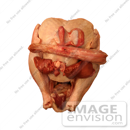 #1203 Thanksgiving Photo of Uncooked Turkey Giblets (heart, liver, and gizzard) and Neck on a Turkey by Kenny Adams