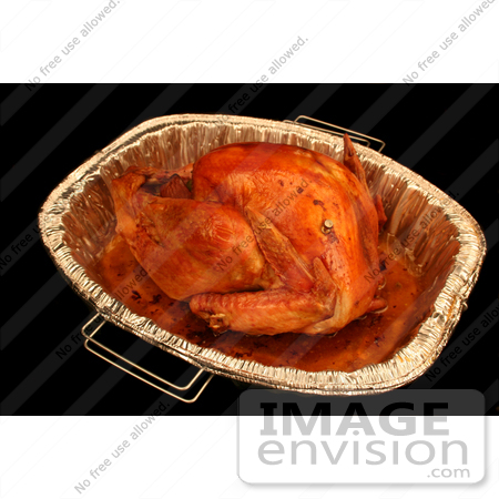 #1206 Thanksgiving Photography of a Cooked Turkey in a Pan by Kenny Adams