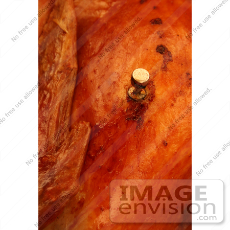 #1213 Photography of a Meat Thermometer in a Turkey by Kenny Adams
