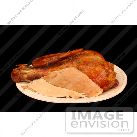 #1216 Picture of Thanksgiving Turkey Leftovers on a Paper Plate by Kenny Adams