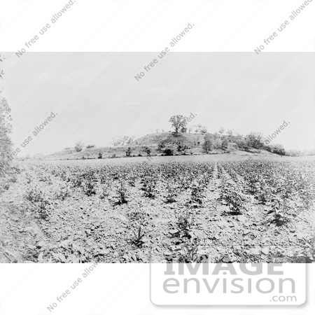 #12856 Picture of Monk’s Mound, Cahokia, Illinois by JVPD