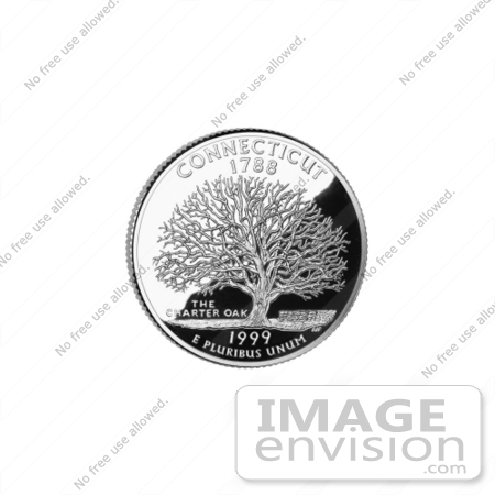 #13138 Picture of Samuel Wylly’s Oak Tree on the Connecticut State Quarter by JVPD