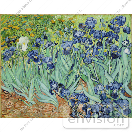 #13413 Picture of the Painting of Irises by Vincent van Gogh by JVPD