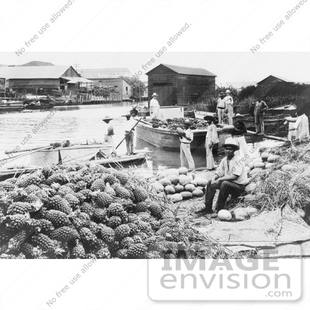 #1355 Photo of People Near Melons and Pineapples at a Waterfront Market in Tampico, Mexico by JVPD