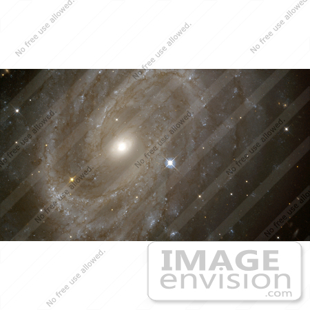 #1368 Stock Photo of Variable Stars in a Distant Spiral Galaxy by JVPD