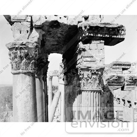 #13765 Picture of Columns and Carved Ceiling at the Temple of the Sun, Baalbek by JVPD