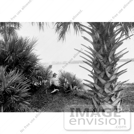 #16225 Picture of Women Under a Palm Tree on a Beach in Miami by JVPD