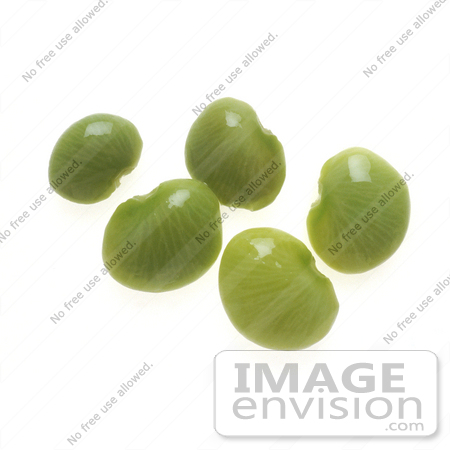 #16954 Picture of a Small Group of Green Lima Beans on a White Background by JVPD