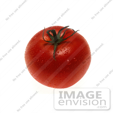 #17142 Picture of One Whole Red Tomato With a Green Stem, Wet With Water Droplets by JVPD