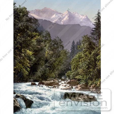 #18041 Picture of Lutschine River Running Through an Evergreen Forest, Jungfrau Mountain, Switzerland by JVPD