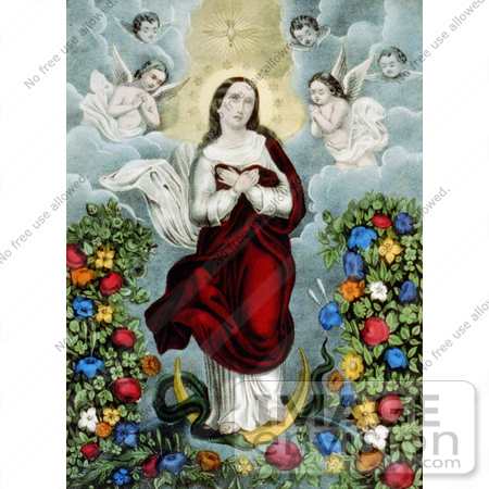 #18612 Photo of the Virgin Mary With Angels, Snake and Flowers, Immaculate Conception by JVPD
