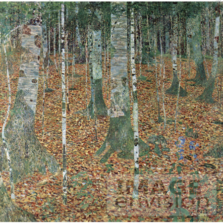 #19061 Photo of a Forest of Birch Trees by Gustav Klimt by JVPD