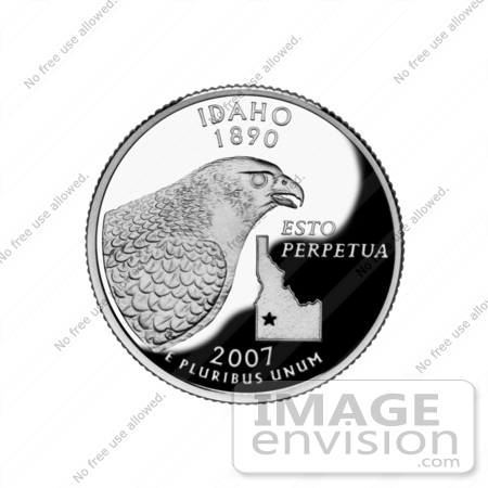 #20527 Stock Photography of a Peregrine Falcon and State Outline on the Idaho State Quarter by JVPD