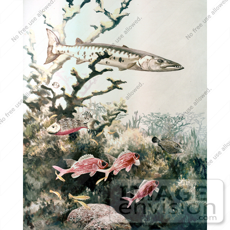 #20951 Clipart Image Illustration of Barracuda and Reef Fish Swimming by JVPD