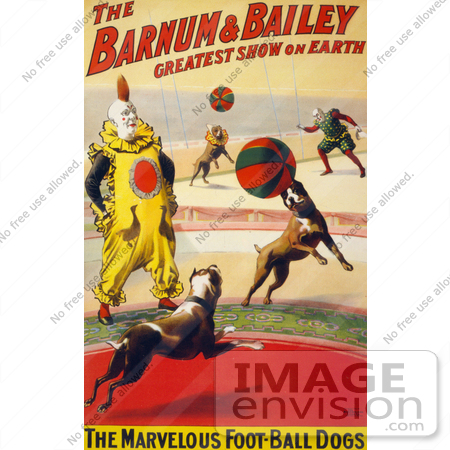#21097 Stock Photography of The Marvelous Foot-Ball Dogs and a Clown Performing in the Barnum and Bailey Circus by JVPD