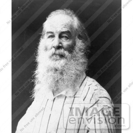 #21361 Historical Stock Photography of Walt Whitman With a Long Beard in 1888 by JVPD