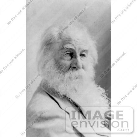 #21374 Historical Stock Photography of Walt Whitman With Long Facial Hair by JVPD