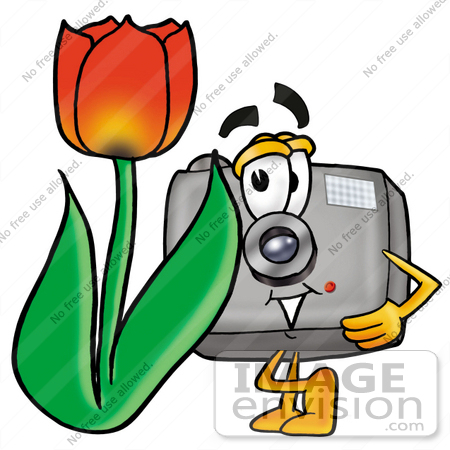 #23151 Clip Art Graphic of a Flash Camera Cartoon Character With a Red Tulip Flower in the Spring by toons4biz