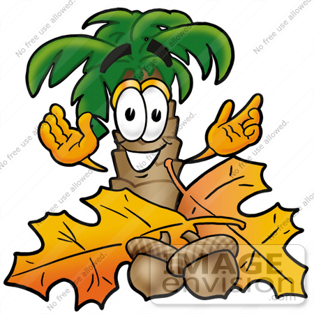 #25029 Clip Art Graphic of a Tropical Palm Tree Cartoon Character With Autumn Leaves and Acorns in the Fall by toons4biz