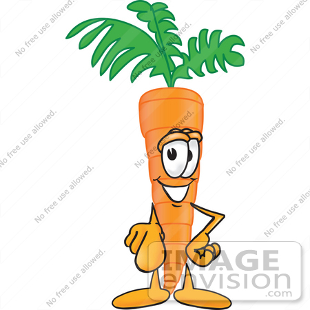 #27582 Clip Art Graphic of an Organic Veggie Carrot Mascot Character Pointing Outwards by toons4biz