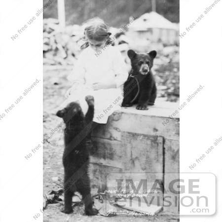 #27889 Historical Stock Photo of a Chained Bear Cub Sitting On Top Of A Wooden Crate By A Little Girl While Another Cub Stands On Its Hind Legs To Beg For Food by JVPD