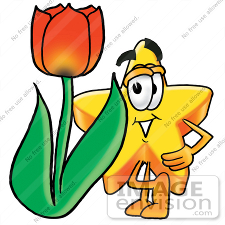 #28138 Clip Art Graphic of a Yellow Star Cartoon Character With a Red Tulip Flower in the Spring by toons4biz