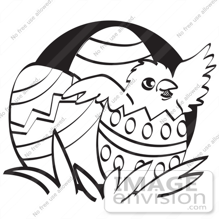 #29211 Royalty-free Cartoon Clip Art of a Baby Chicken Hatching Out Of A Decorated Easter Egg, Black and White by Andy Nortnik