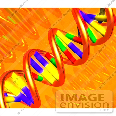#31462 DNA Double Helix 3D Illustration by Oleksiy Maksymenko