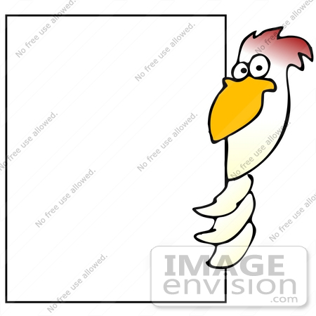 #32083 Clip Art Graphic of a White Chicken Bird With Red Head Feathers, Peering Around A Large White Sign by DJArt