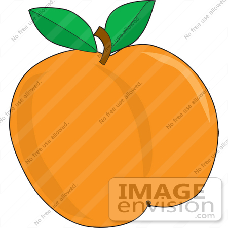 #33430 Clipart of a Ripe And Plump Orange Apricot Fruit With Two Leaves Attached To The Stem by Maria Bell