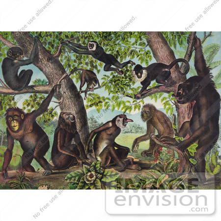 #33973 Stock Illustration Of A Group Of Wild Monkeys Playing In And Under A Jungle Tree by JVPD