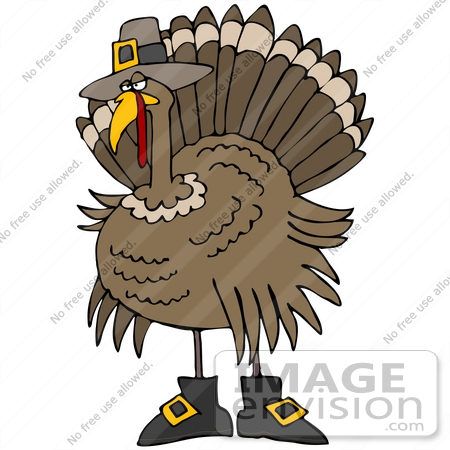 #35702 Clip Art Graphic of a Thanksgiving Turkey Bird Disguised As A Pilgrim, Wearing A Hat And Boots by DJArt