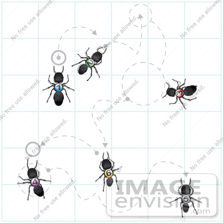 #35758 Clip Art Graphic of Numbered Black Sugar Ants Wandering Along Trails With Circles And Arrows by Jester Arts