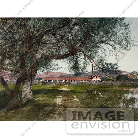 #40723 Stock Photo Of Trees Along The Dirt Road Leading To The Mission San Antonio de Padua, California by JVPD