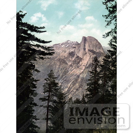 #40800 Stock Photo of Tall Green Trees Framing A View Of Half Dome, Yosemite National Park, California by JVPD