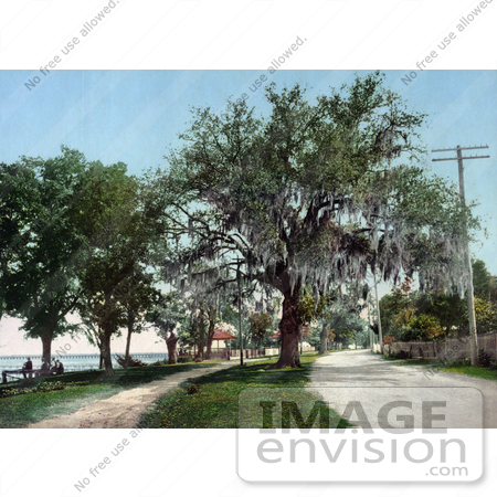 #40952 Stock Photo Of People Enjoying The Weather On The Coast At Bay Saint Louis, Mississippi by JVPD